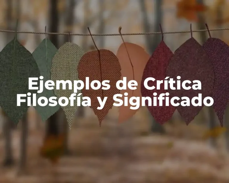 Ejemplos de Crítica Filosofía y Significado