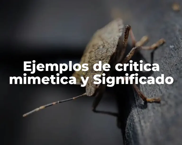Ejemplos de critica mimetica y Significado