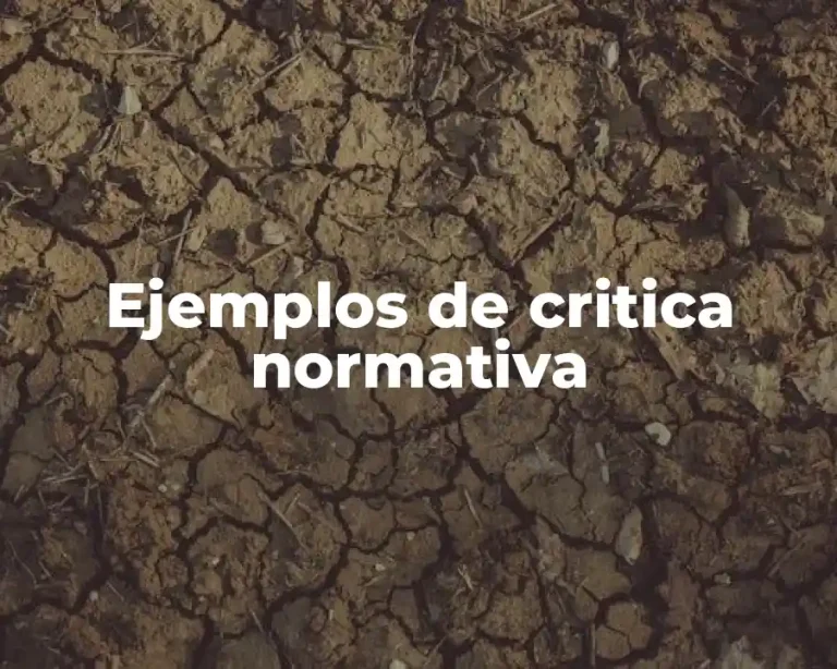Ejemplos de critica normativa