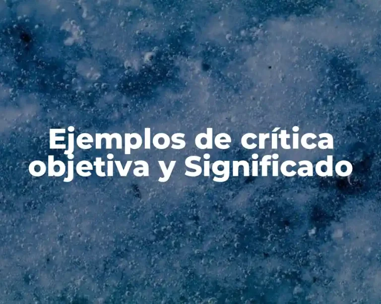 Ejemplos de crítica objetiva y Significado