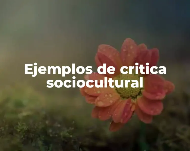 Ejemplos de critica sociocultural