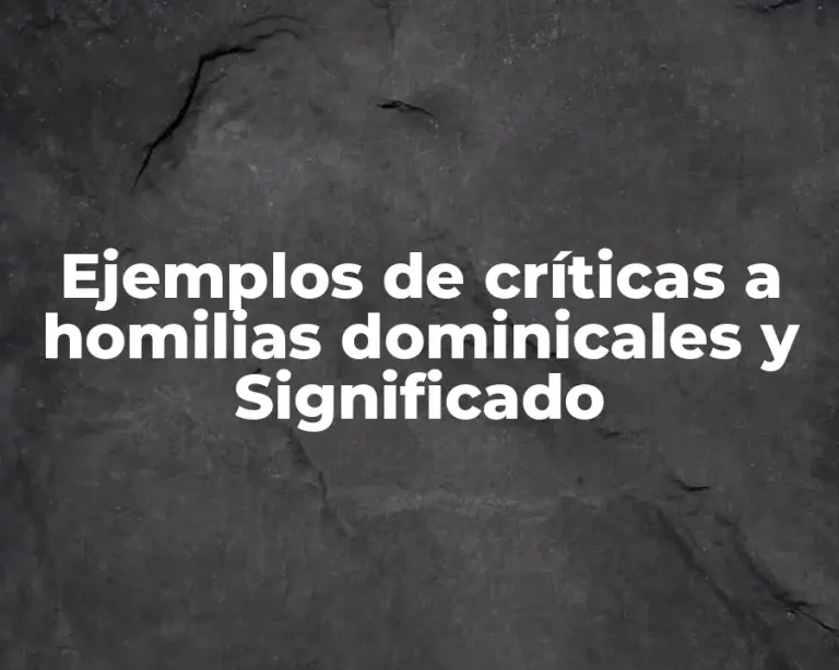 Ejemplos de críticas a homilias dominicales y Significado