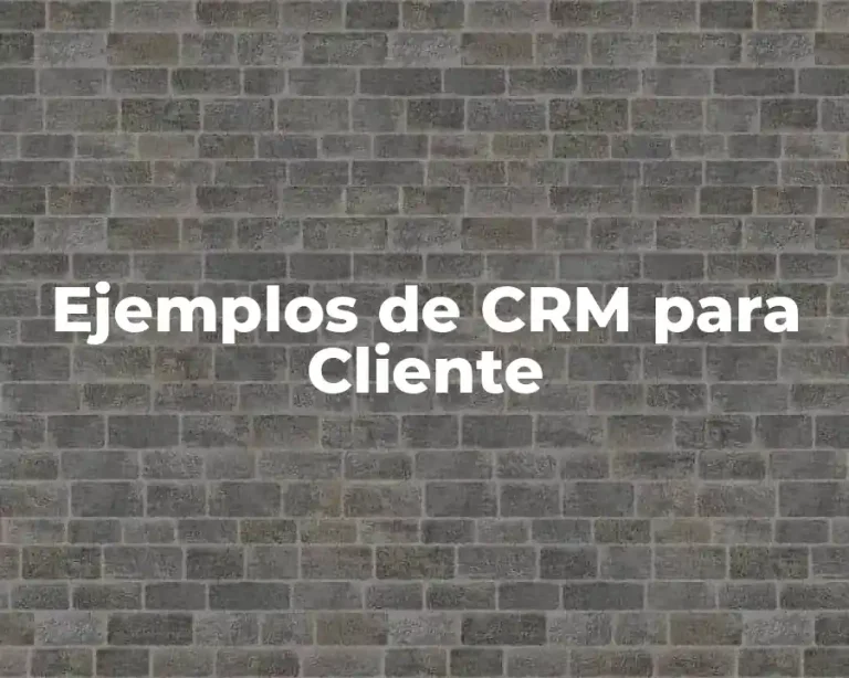 Ejemplos de CRM para Cliente