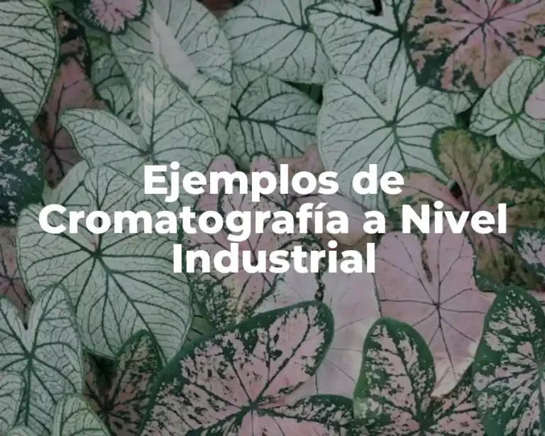 Ejemplos de Cromatografía a Nivel Industrial
