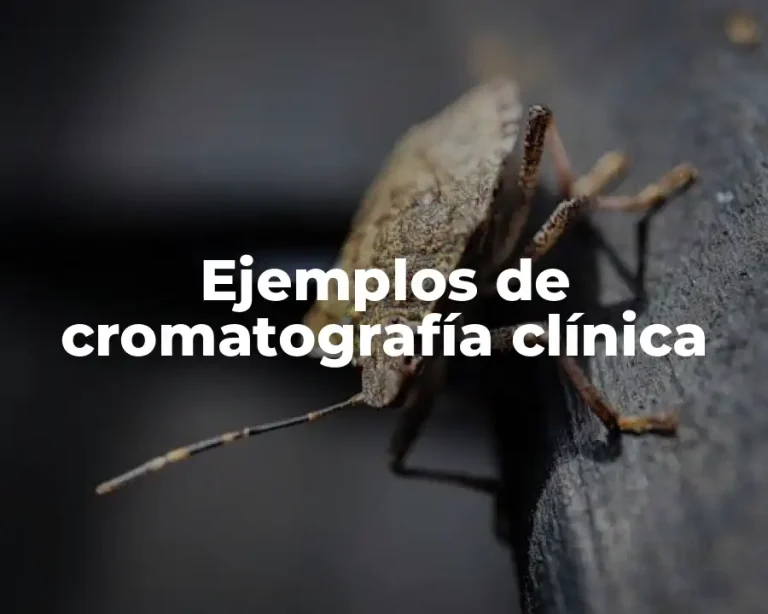 Ejemplos de cromatografía clínica