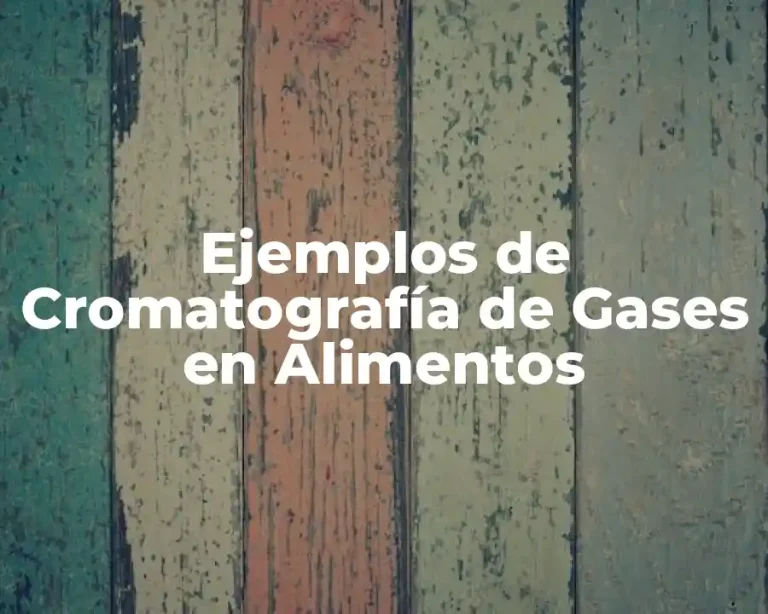 Ejemplos de Cromatografía de Gases en Alimentos