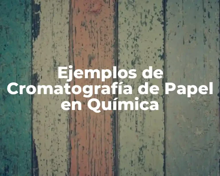 Ejemplos de Cromatografía de Papel en Química