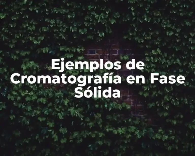 Ejemplos de Cromatografía en Fase Sólida