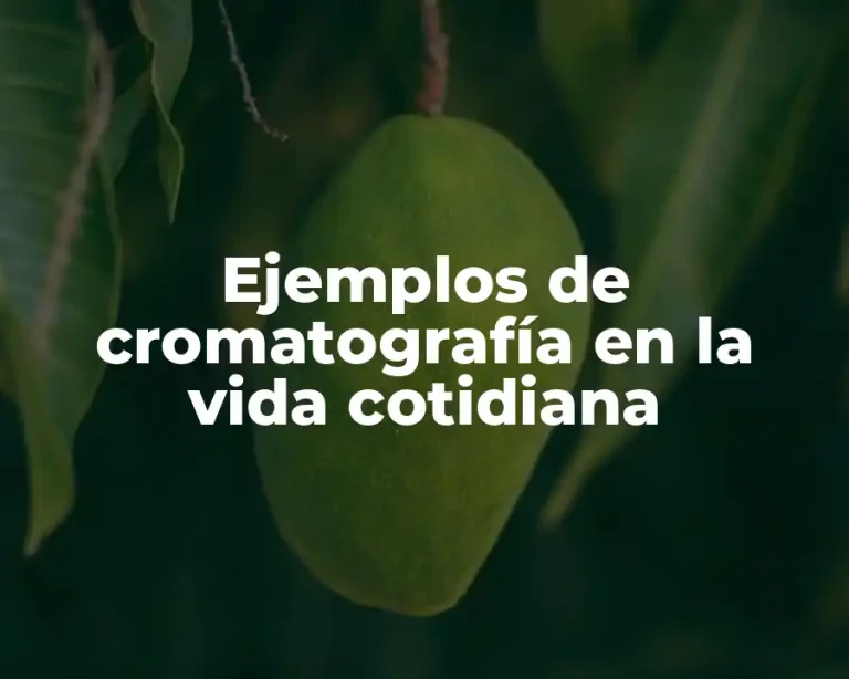 Ejemplos de cromatografía en la vida cotidiana