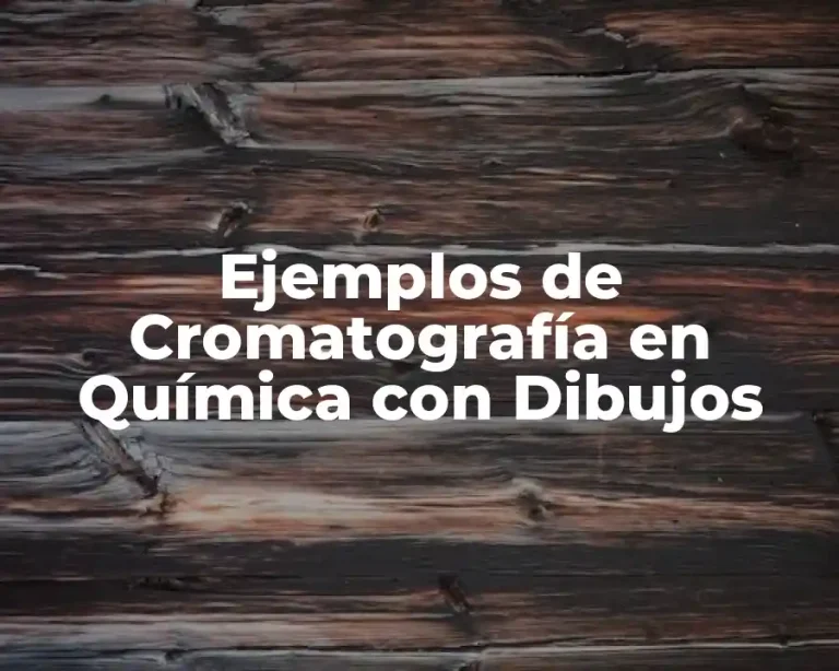 Ejemplos de Cromatografía en Química con Dibujos