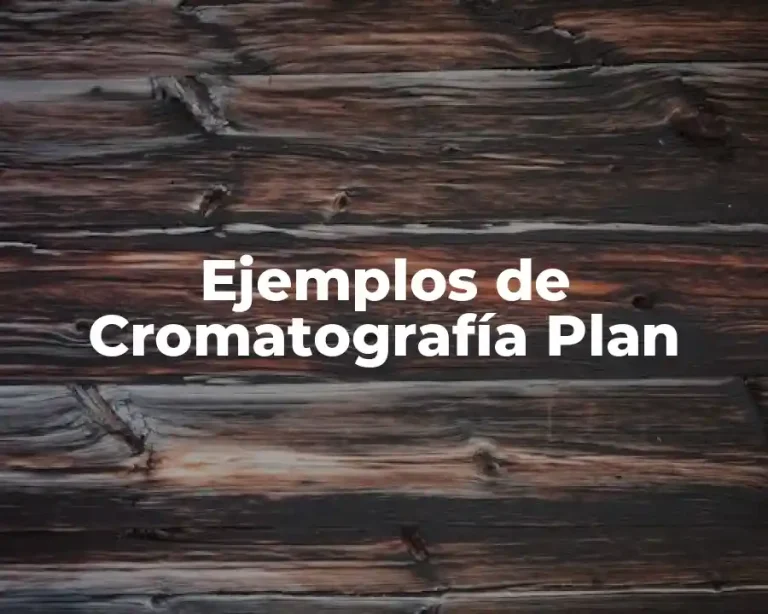 Ejemplos de Cromatografía Plan