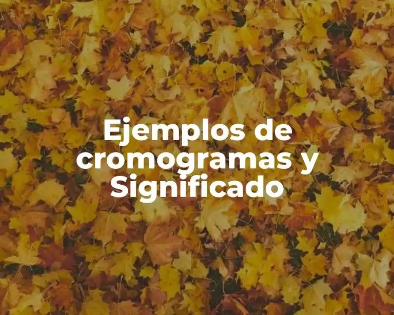 Ejemplos de cromogramas y Significado