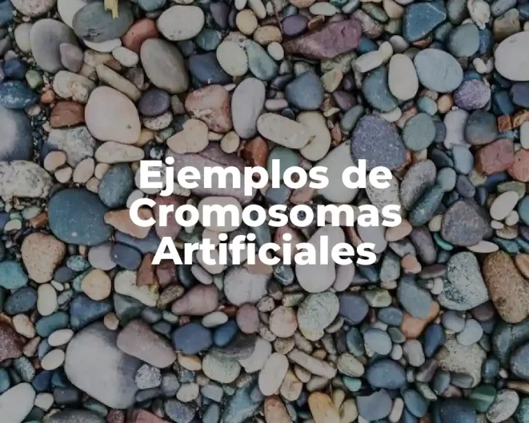 Ejemplos de Cromosomas Artificiales