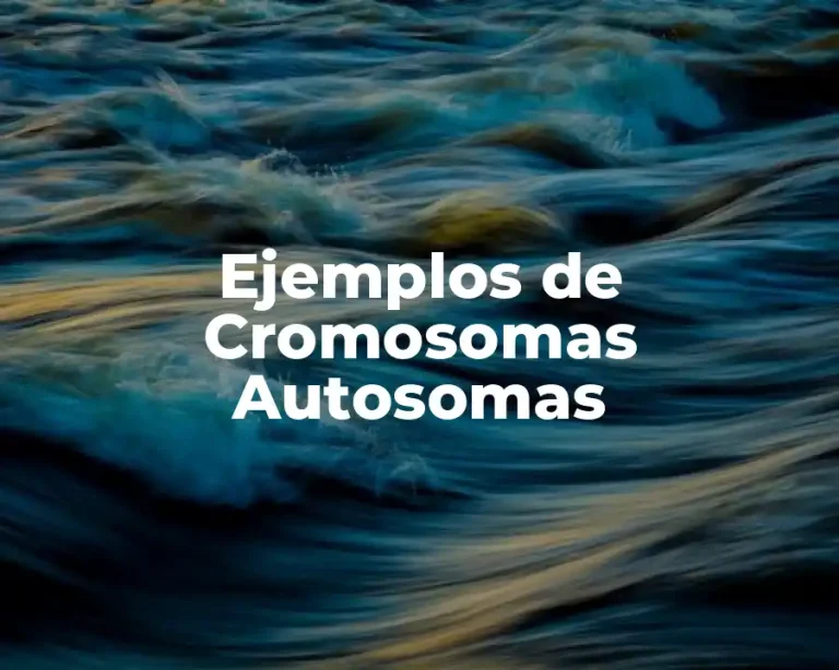 Ejemplos de Cromosomas Autosomas