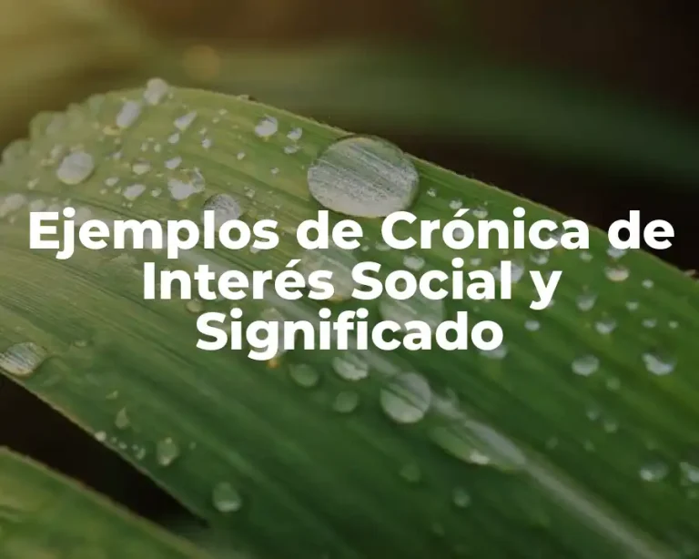 Ejemplos de Crónica de Interés Social y Significado