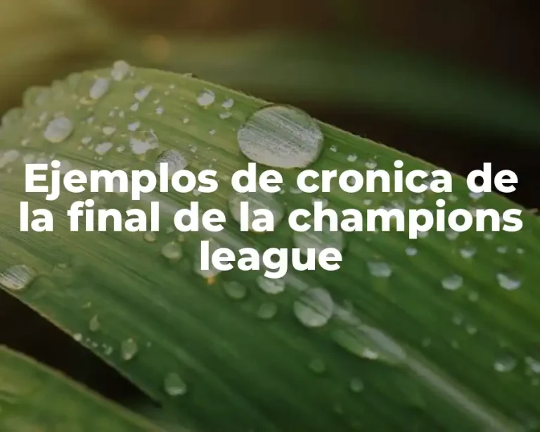 Ejemplos de cronica de la final de la champions league