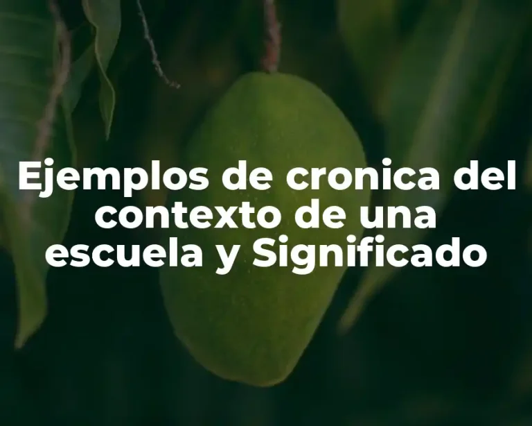 Ejemplos de cronica del contexto de una escuela y Significado