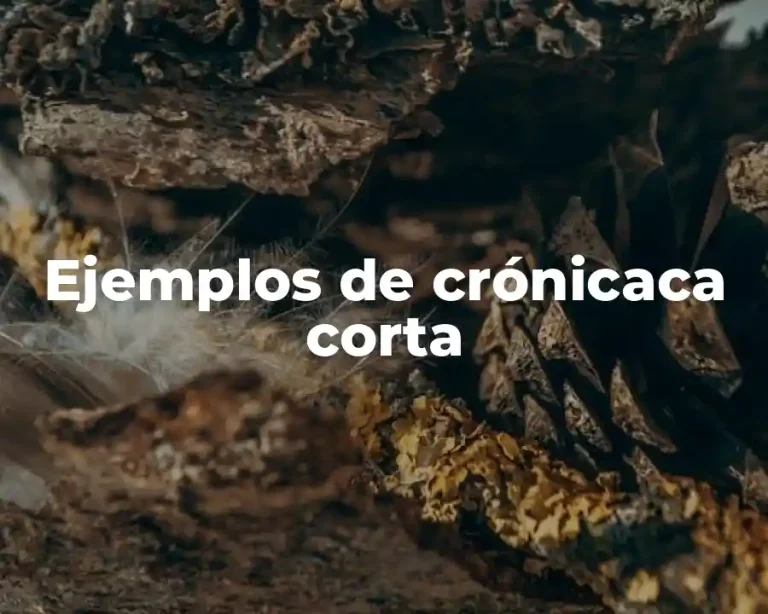 Ejemplos de crónicaca corta