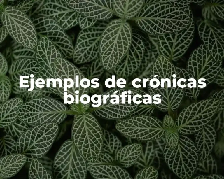 Ejemplos de crónicas biográficas