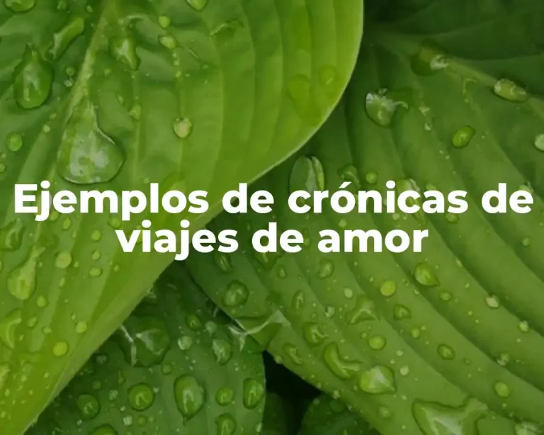 Ejemplos de crónicas de viajes de amor