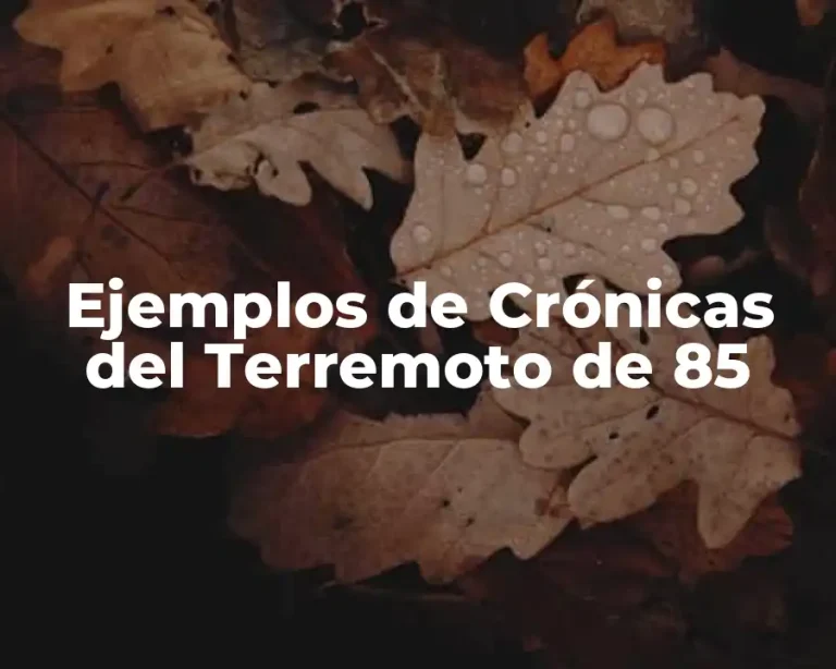 Ejemplos de Crónicas del Terremoto de 85