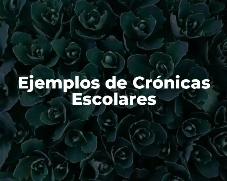 Ejemplos de Crónicas Escolares