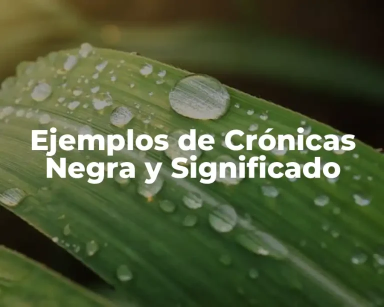 Ejemplos de Crónicas Negra y Significado