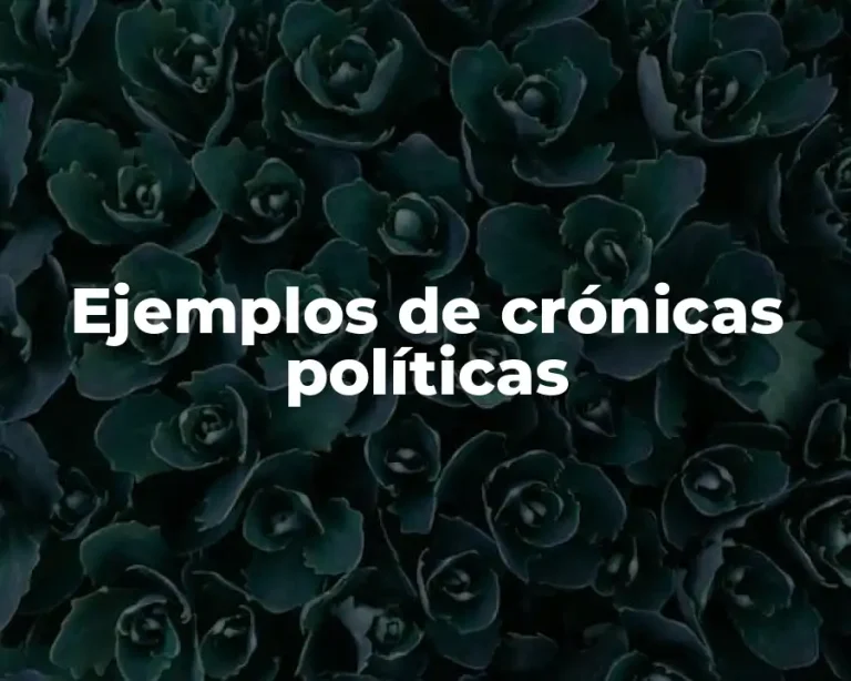 Ejemplos de crónicas políticas