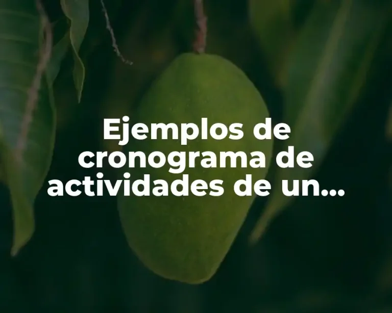 Ejemplos de cronograma de actividades de un proyecto de investigación