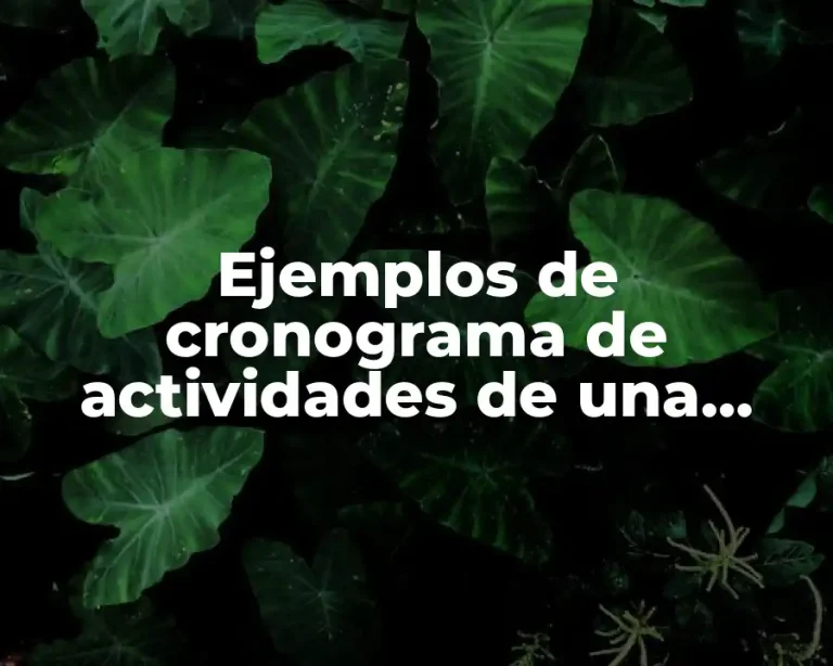 Ejemplos de cronograma de actividades de una empresa de chocolates
