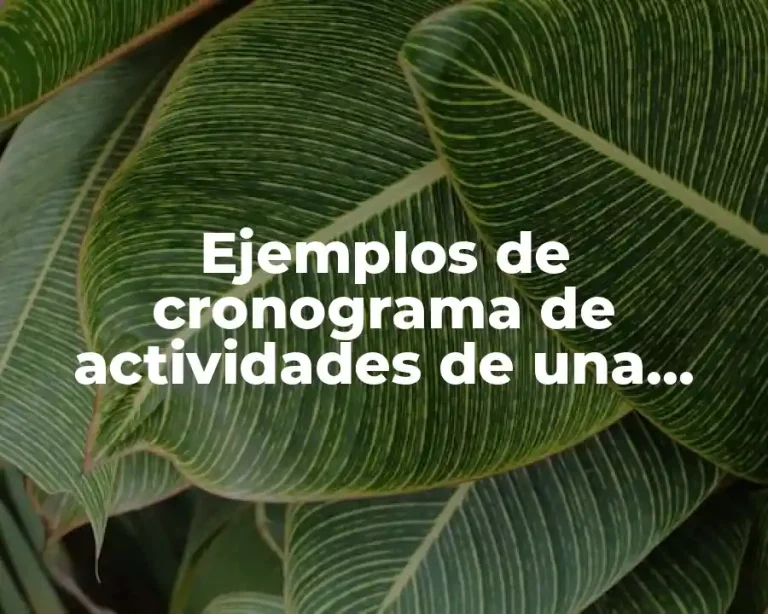 Ejemplos de cronograma de actividades de una exposición