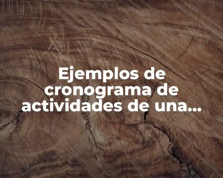 Ejemplos de cronograma de actividades de una oficina y Significado