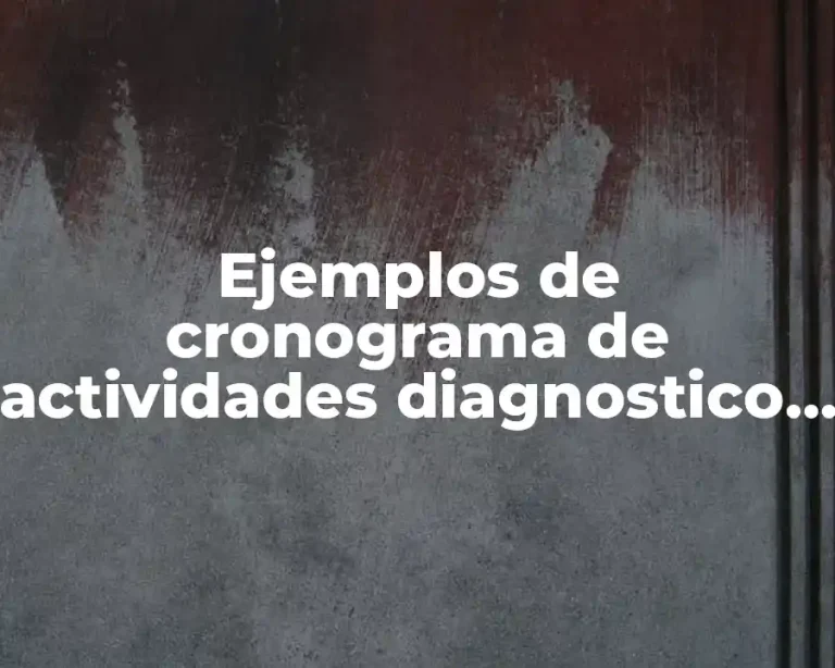 Ejemplos de cronograma de actividades diagnostico de una organización
