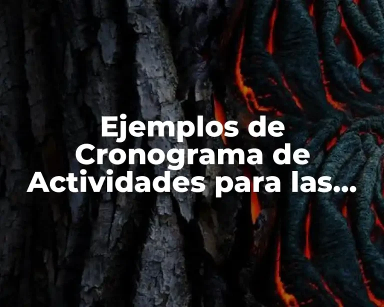 Ejemplos de Cronograma de Actividades para las Escuelas
