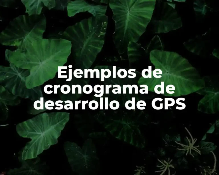 Ejemplos de cronograma de desarrollo de GPS
