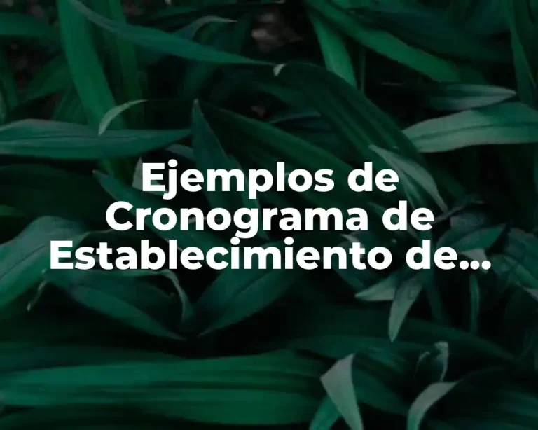 Ejemplos de Cronograma de Establecimiento de Cultivo