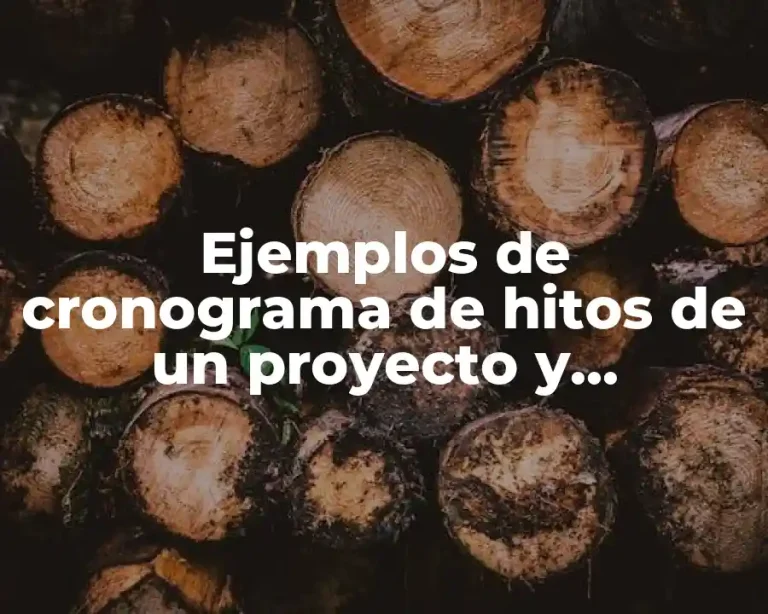 Ejemplos de cronograma de hitos de un proyecto y Significado