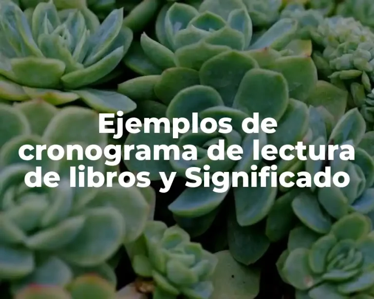 Ejemplos de cronograma de lectura de libros y Significado