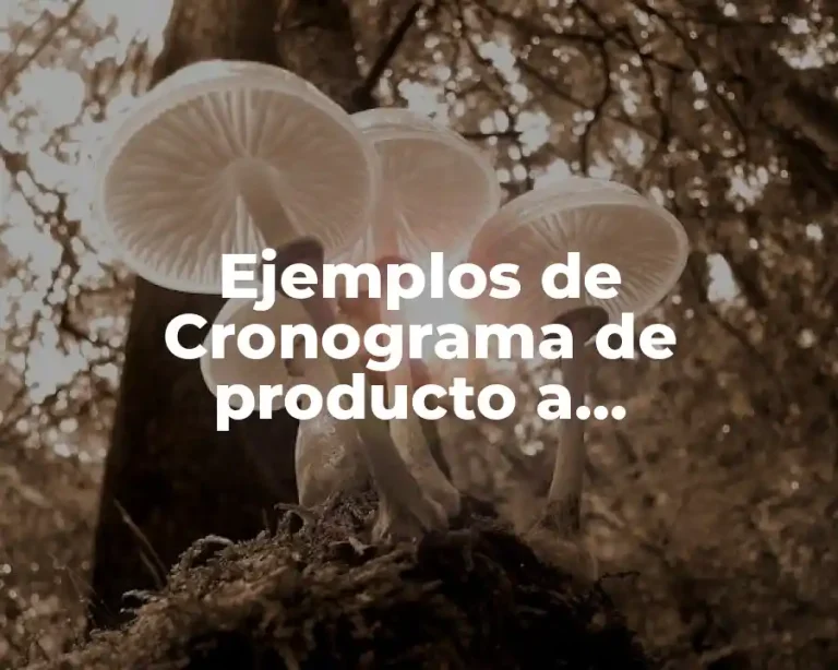 Ejemplos de Cronograma de producto a comercializar