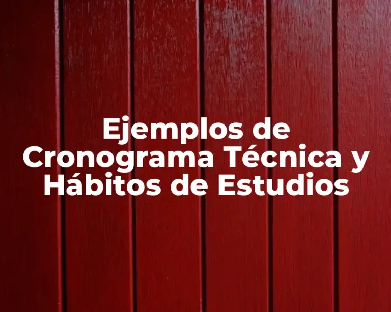 Ejemplos de Cronograma Técnica y Hábitos de Estudios