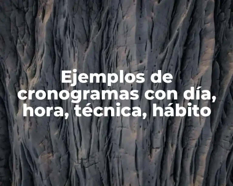 Ejemplos de cronogramas con día, hora, técnica, hábito
