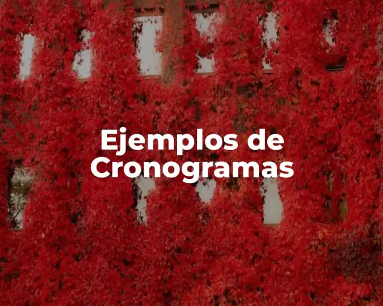 Ejemplos de Cronogramas