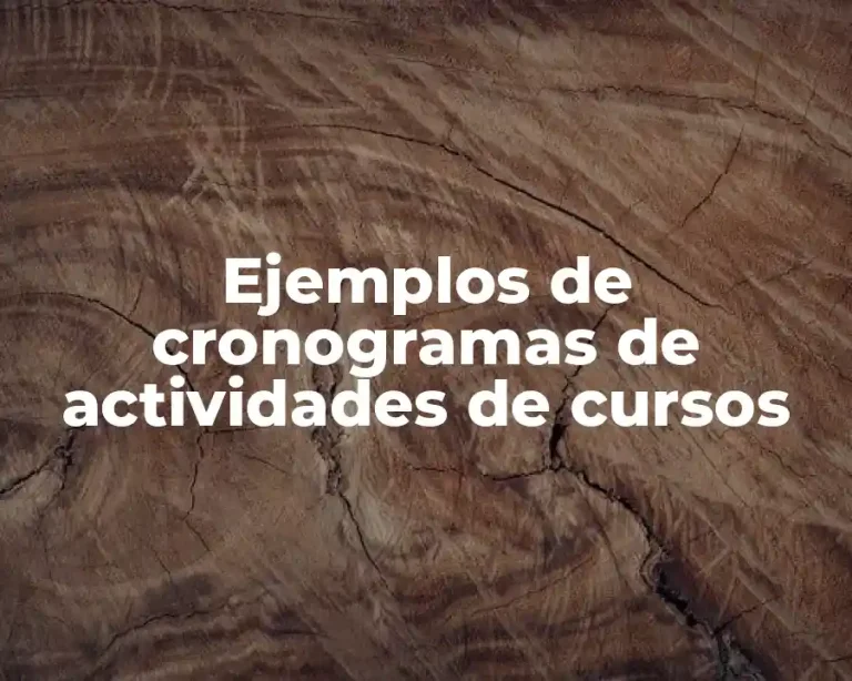 Ejemplos de cronogramas de actividades de cursos