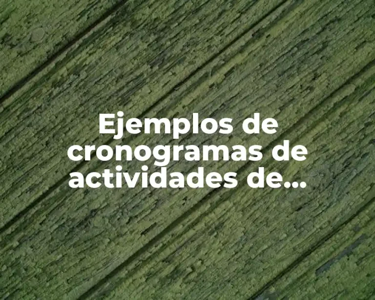 Ejemplos de cronogramas de actividades de restaurantes