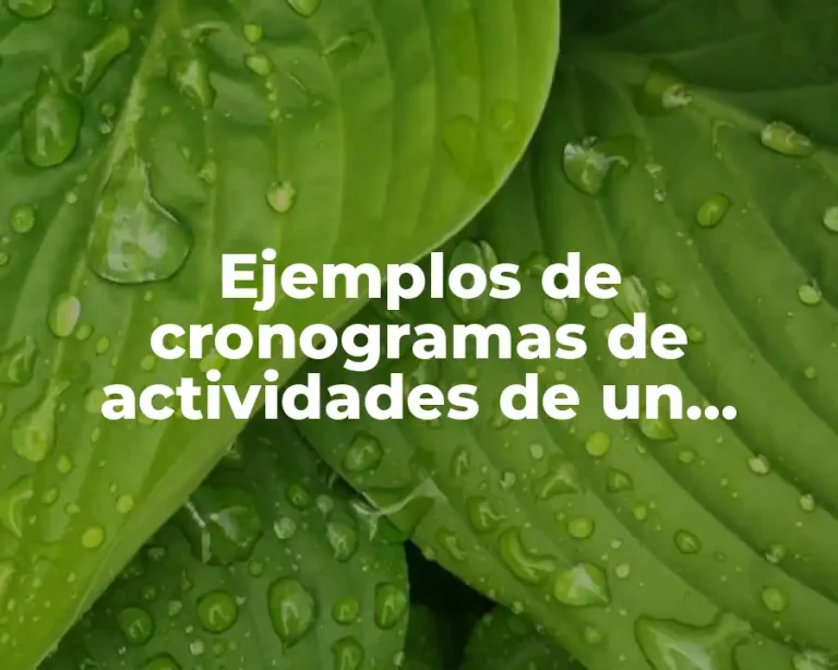 Ejemplos de cronogramas de actividades de un proyecto de investigación