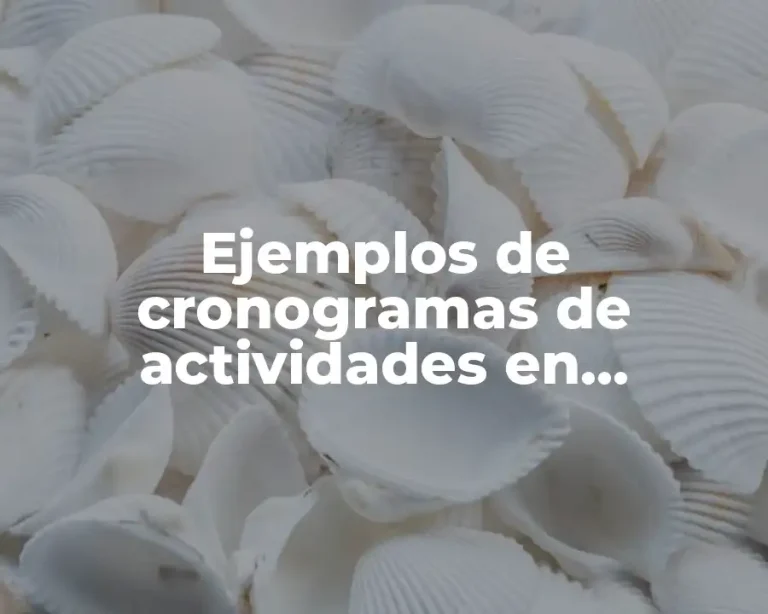 Ejemplos de cronogramas de actividades en proyectos
