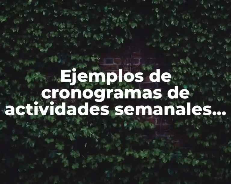 Ejemplos de cronogramas de actividades semanales para un evento