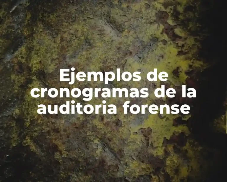 Ejemplos de cronogramas de la auditoria forense