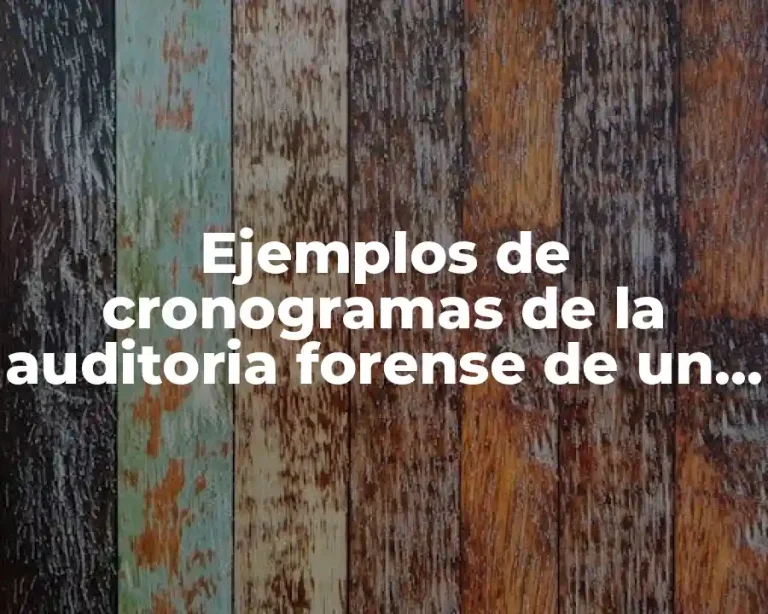 Ejemplos de cronogramas de la auditoria forense de un protocolo