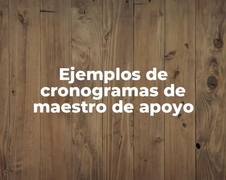 Ejemplos de cronogramas de maestro de apoyo